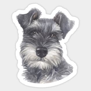 Miniature Schnauzer Watercolor Art Sticker